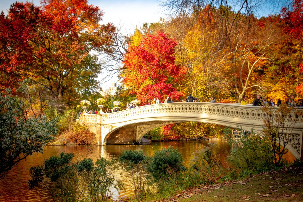 6 Fall Foliage Experiences in New York LIVunLtd