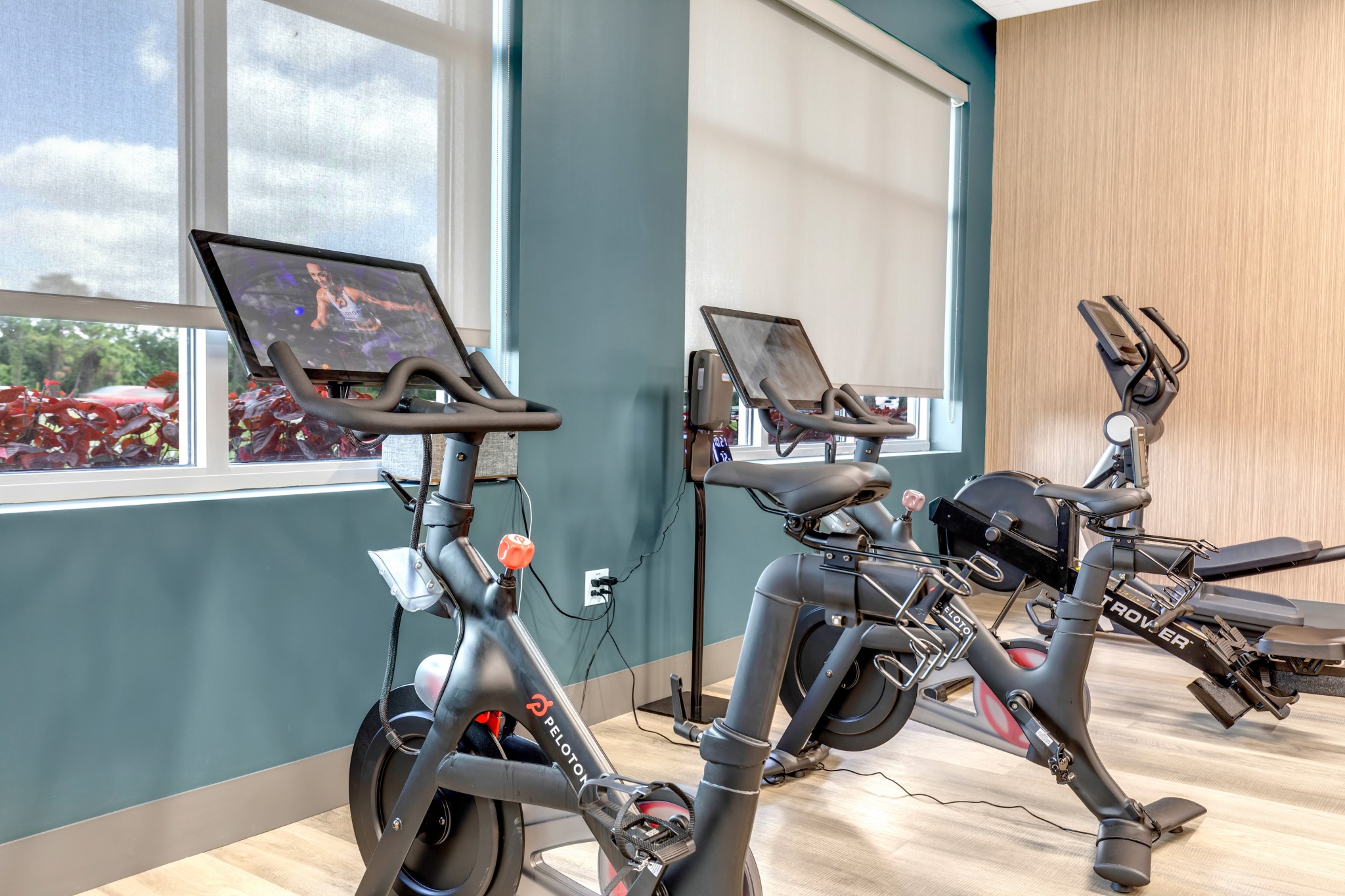 Modern exercise bikes within a gym facing windows