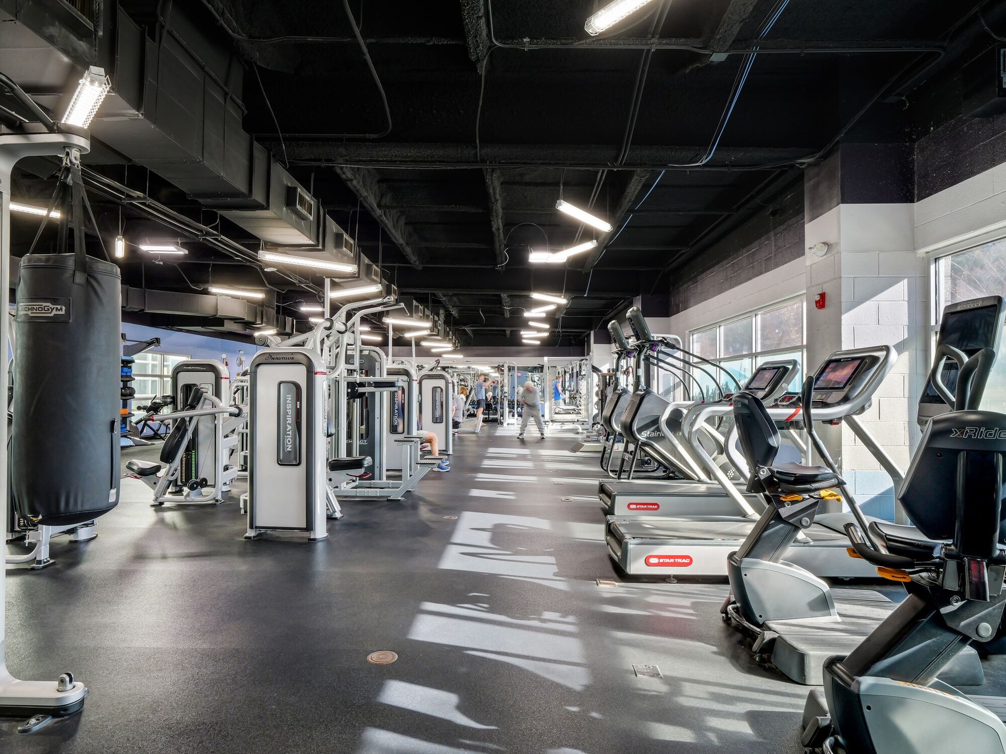 Long run of selectorised strength and cardio equipment under an exposed dark ceiling