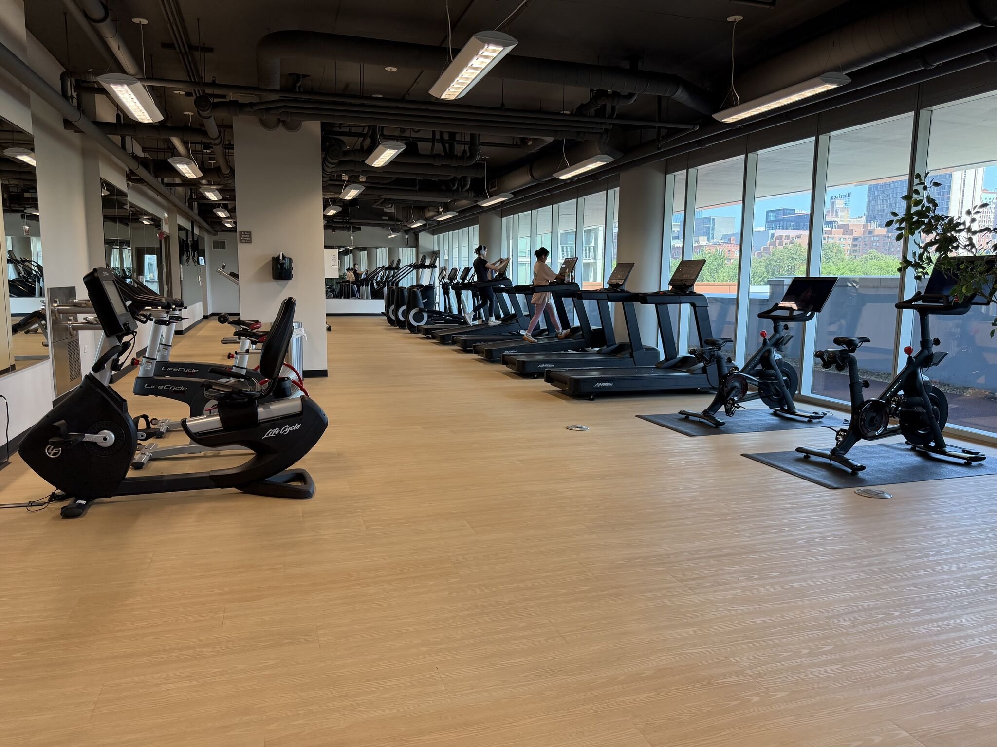 Stationary bikes and cardio machines beside large windows