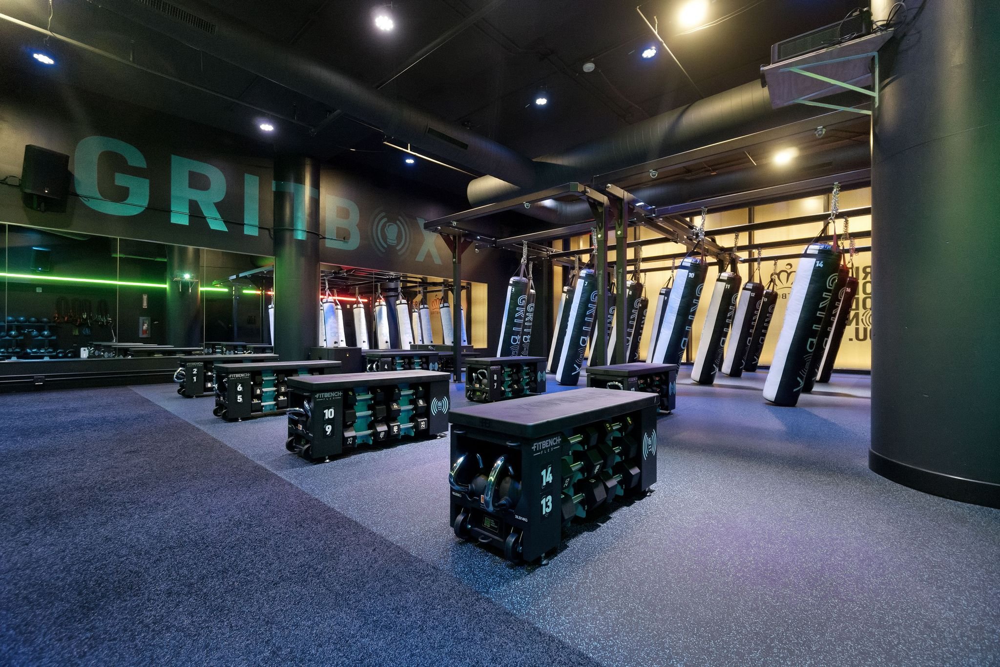 Strength training area with plate-loaded machines and dumbbell racks