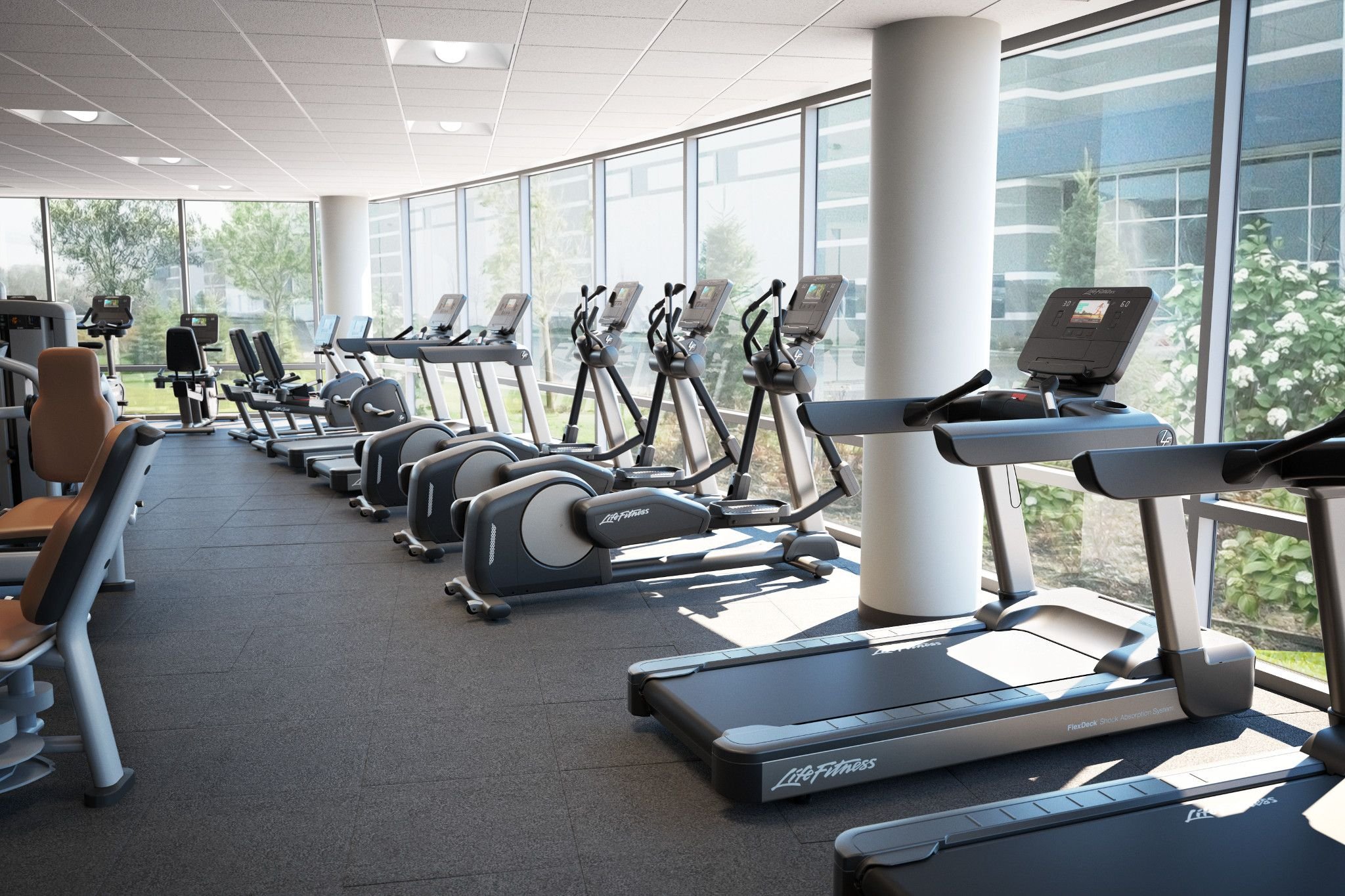Corporate gym cardio row with ellipticals facing windows