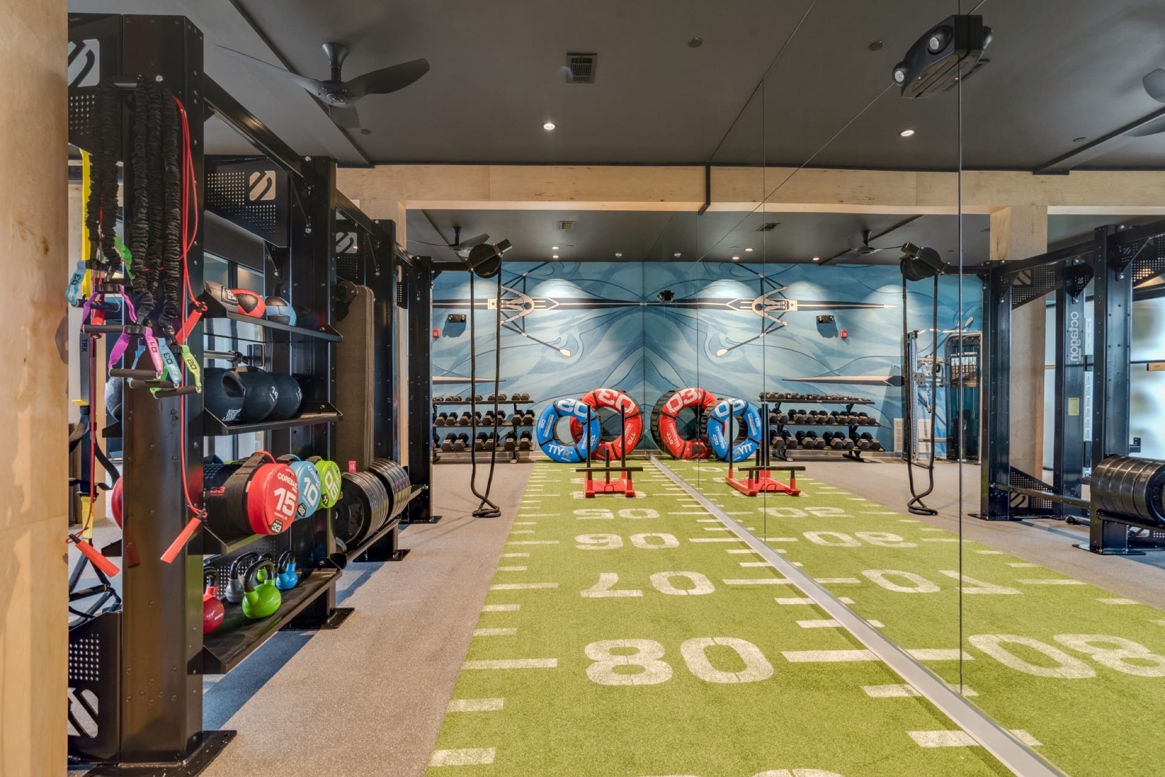 Functional training turf with battle ropes, medicine balls and a storage rack